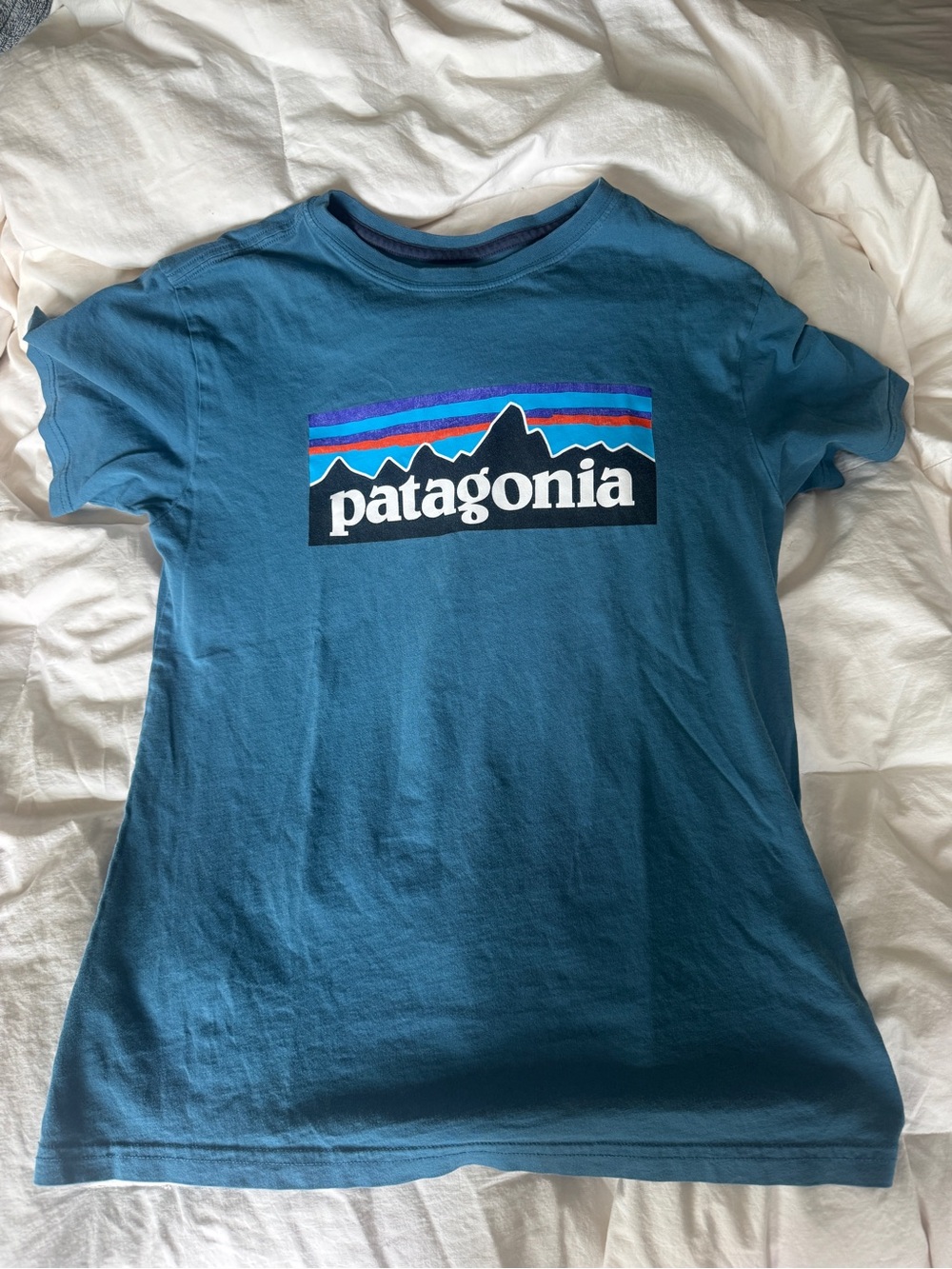 Patagonia Teal Kids Short Sleeve Tee with Multicolor Logo